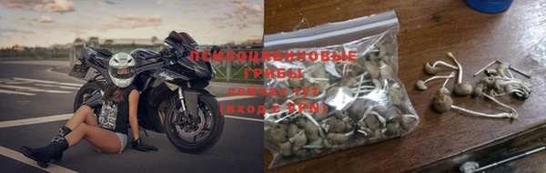 крисы Покровск