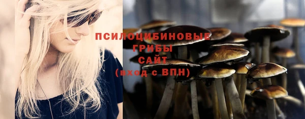 спиды Архангельск