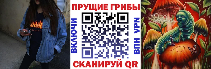 Галлюциногенные грибы мухоморы  купить закладку  Тюкалинск 
